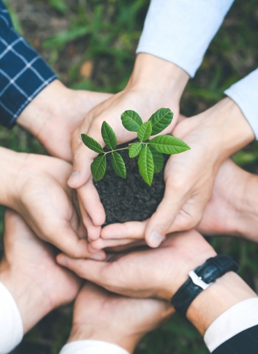empresas de educacion ambiental